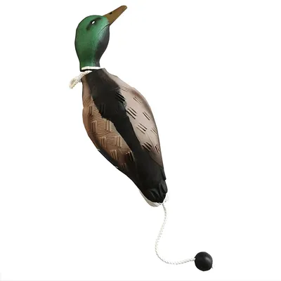 Produktbild von Hunde Trainingsdummy Ente – Apportier- & Kauspielzeug für Jagdtraining – Realistische Trainingsente für alle Hunde