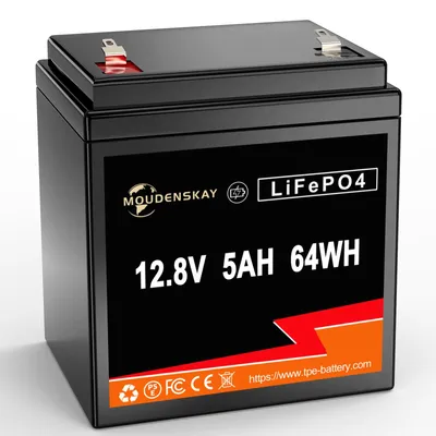 LiFePO4 Akku 12V 5Ah 12,8V Lithiumbatterie