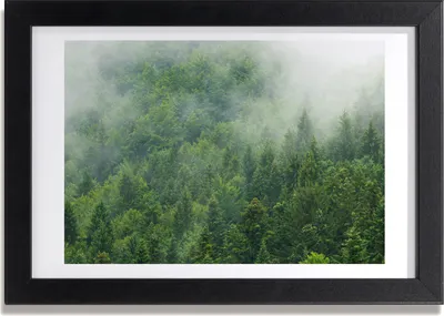 Produktbild von Bild 30x20 MDF-Rahmen, Wandkunst Geheimnisvoller Wald
