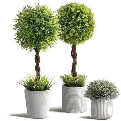 Image de Ensemble de buis artificiels dans des pots en béton et en plastique pour la décoration d'intérieur