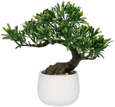 Immagine prodotto di Decorazione bonsai in Vetroceramica da 25 cm per il soggiorno