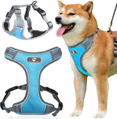 Immagine prodotto di Pettorina da addestramento per cani regolabile - taglia XL