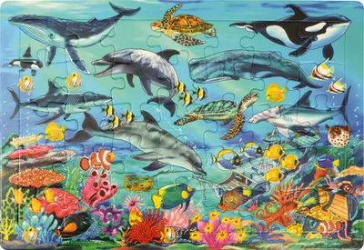 Produktbild von EDUPLAY 120404 Puzzle Meer, bunt, 35-teilig (1 Set)