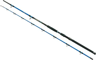 Produktbild von Wizard Cat Pro Power Welsrute Silber 3.00 m / 600-800 g Silber 3.00 m