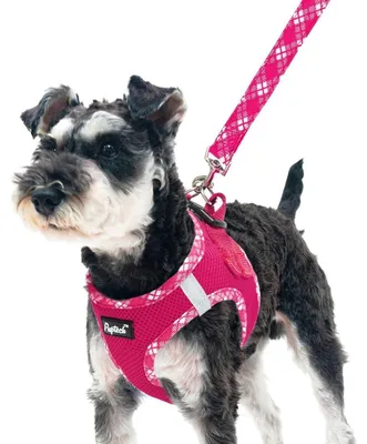 Produktbild von Hundegeschirr und Leinen-Set für kleine bis mittlere Hunde, weichmaschen Welpen Geschirr, Einsteck-Funktion, reflektierend, Fuchsia, Größe S