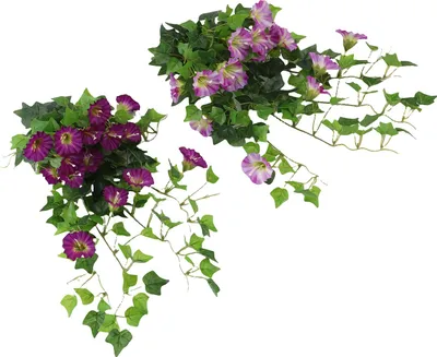 Zdjęcie produktu dla Sztuczna girlanda kwiatowa Morning Glory Lifelike Wielokrotnego użytku Sztuczna wisząca roślina winorośli na wesele Impreza Patio Balkon Dekoracja ścienna Głęboki fiolet + jasny fiolet