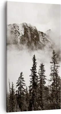 Produktbild von Bild auf Leinwand - Leinwandbild - Einteilig - Nebel Berg Wald - 55x100cm - Wand Bild - Wanddeko - Wandbilder - Leinwanddruck - Bilder - Wanddekoration - Leinwand bilder - Wandbild - PA55x100-4936
