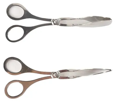 2er-Set Buffetzangen aus Edelstahl, 18 cm, Salatzange