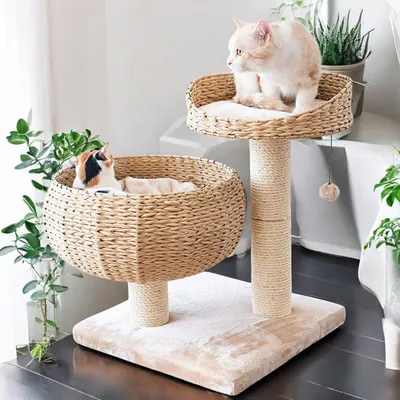 Two cats are relaxing on a woven cat tree with sisal scratching posts, surrounded by plants.