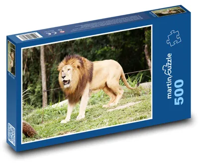 Obrázok produktu pre martinpuzzle – Puzzle 500 – Lev – zviera, král džungle
