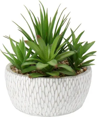 Obrázek produktu pro Umělá pokojová rostlina v cementovém květináči, výška 16 cm, do obývacího pokoje, kanceláře nebo koupelny.
