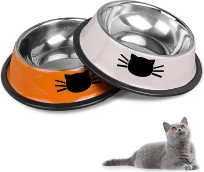 Immagine prodotto di Set di ciotole antiscivolo in acciaio inossidabile per cibo e acqua per gatti (grigio + arancione)