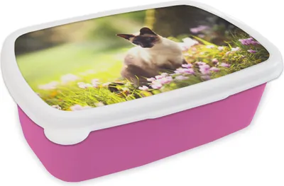 Produktbild von KitchenYeah® Lunchbox Brotzeit Brotdose 17x11 cm Siamkatze zwischen rosa Blumen Kinder Brotzeitdose - Lunchpaket - Brotkasten  - Sandwich Box