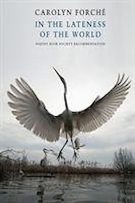 Image de In the Lateness of the World