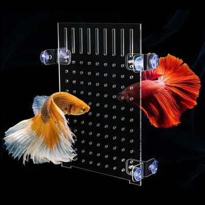 Produktbild von Solidchoice – Aquariumbegrenzung für Fischbecken mit Saugnäpfen