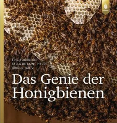 Image de Das Genie der Honigbienen