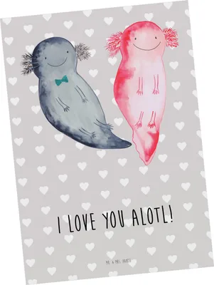 Produktbild von Mr. & Mrs. Panda Grußkarte Axolotl Liebe - Grau Pastell - Geschenk, für Männer, Freundin, Fotokarte, Postkarten, Kunstkarten, Frauen, Hochzeitstag, bildkarte, Postkarte