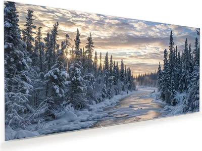 Produktbild von Glasbild 100x50cm in XXL für Wohnzimmer, Schlafzimmer Motiv Winterflusswald