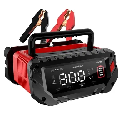 Immagine prodotto di Caricabatteria per auto, 6V/12V/24V, controllo intelligente, SPINA UE