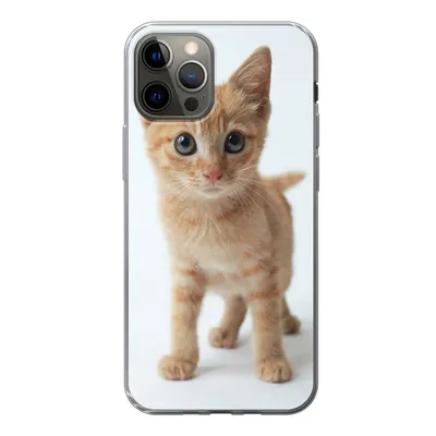 Produktbild von MuchoWow® Handyhülle Schutzhülle Hülle für iPhone 13 Pro Katze - Rot - Kätzchen - Mädchen - Kinder - Jungen - Kind Silikon Softcase Handy Hülle - Handy-Tasche