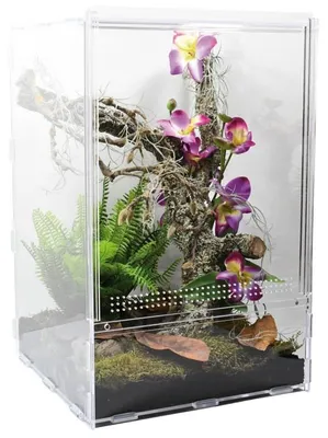 Zdjęcie produktu dla Terrarium z akrylu, wymiary 30 x 30 x 45 cm - pojemność 40,5 litra - przezroczyste