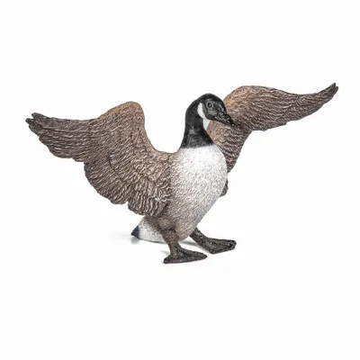 Image de Papo 50277 Oie Bernache figurine Papo
