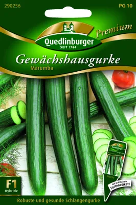 Produktbild von Gewächshausgurke, Marumba F1