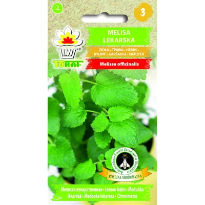 Zdjęcie produktu dla Nasiona ziół Melisa Lekarska zioła do ogrodu - Toraf 301