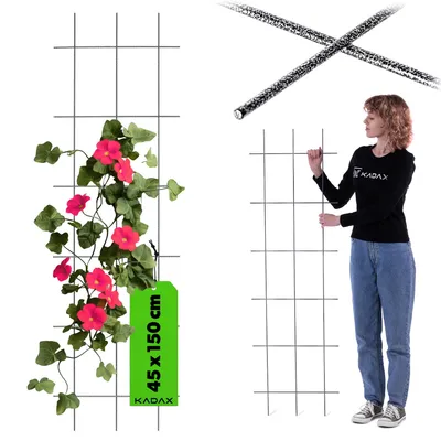 Image de KADAX Treillis "Russi", aide à l'escalade pour plantes grimpantes, treillis pour jardin, noir, 45 cm