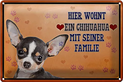 Produktbild von Blechschild Spruch 30x20cm Hund hier wohnt ein Chihuahua