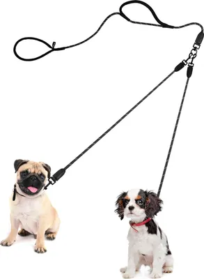 Obrázek produktu pro Dvojité vodítko pro 2 psy - nezamotává se - odolný nylon - reflexní - pro malé a střední psy 0,8 cm.