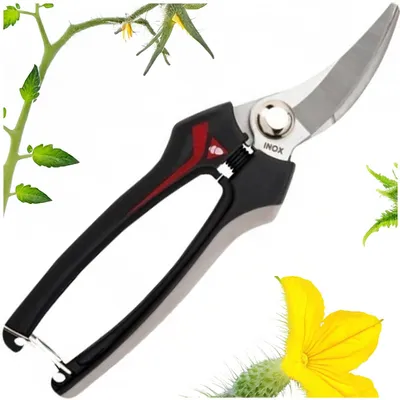 Productafbeelding van Bellota BE 3622 Tuinschaar, bypass-model, scherp, professioneel