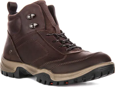 Produktbild von Ecco Xpedition III M in Kaffee für Herren – Größe 11,5 UK – 46 EU – 12/12,5 US / Kaffee