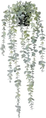 Image de Plante artificielle en eucalyptus pour mur et intérieur