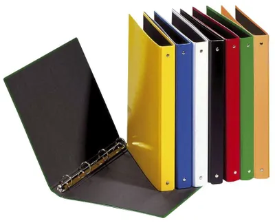 Immagine prodotto di 12x Pagna® 20405-00 Ringbuch Basic Colours - A5, 4-Ring, Ring-Ø 25mm, farbig sortiert