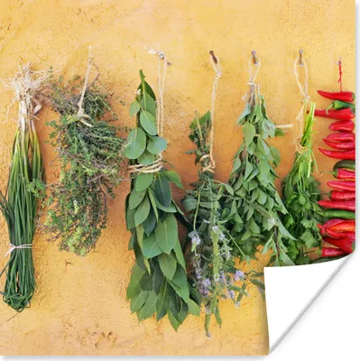 Produktbild von MuchoWow® Poster Mediterrane Kräuter 75x75 cm - Wand Dekoration