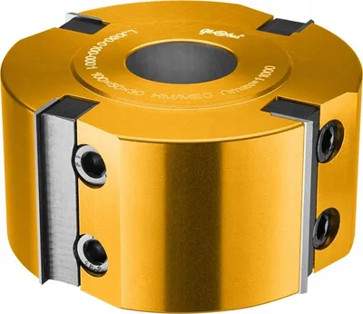 Obrázok produktu pre GLOBUS Hobelkopf 100x40x4Z H50