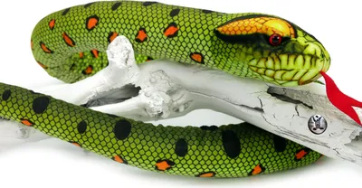A plush snake coiled around a white branch against a white background.