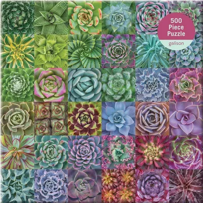 Produktbild von Galison Puzzle Barevné sukulenty 500 dílků