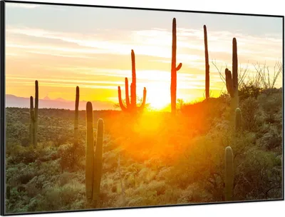 Produktbild von Wallario Wandbild Sonnenaufgang in der Wüste, Größe: 61 x 91,50 cm, Poster mit schwarzem Aluminiumrahmen