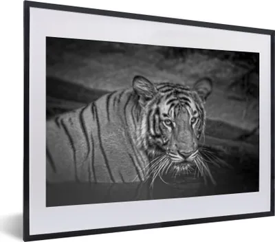 Produktbild von MuchoWow® MuchoWow® Gerahmtes Poster Tiger - Wasser - Schwarz - Weiß 40x30 cm - Poster mit zchwarzem Bilderrahmen - Bilderrahmen - Poster im Rahmen