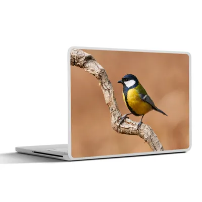 Produktbild von MuchoWow® Laptop Aufkleber Sticker Cover Vogel - Kohlmeise - Zweige 40x30 cm - Laptop Dekoration - Selbstklebend