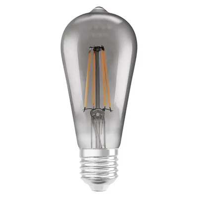 A clear, professional studio shot of an LED filament light bulb against a white background.