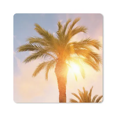Produktbild von MuchoWow® Mauspad Mousepad Palme - Sommer - Sonne - Tropisch 30x30 cm - Mousepads - Maus Mat - Pad - Mausunterlage - Gaming