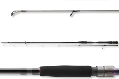 Produktbild von Daiwa Steckrute Prorex AGS Spin Länge 2,70m Wurfgewicht 30-70g