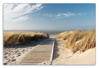 Produktbild von Wallario Frühstücksbrettchen aus Glas 20 x 30 cm mit rutschfesten Füßen, Motiv Auf dem Holzweg zum Strand