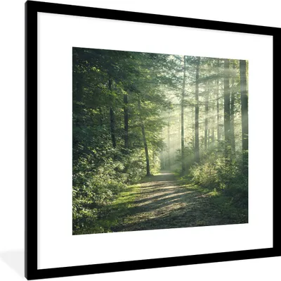 Produktbild von MuchoWow® Gerahmtes Poster Wald - Weg - Sonne - Bäume - Grün - Natur 40x40 cm - Poster mit Schwarzem Bilderrahmen Wandposter Rahmen Foto Bilder - Poster - Plakat im Rahmen