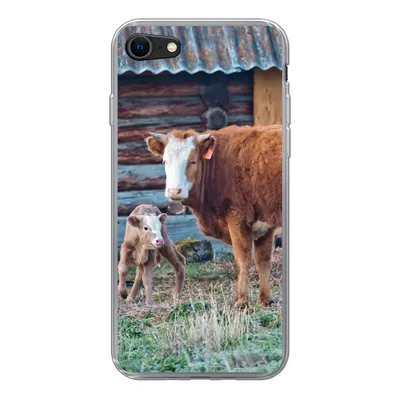 Produktbild von MuchoWow® Handyhülle Schutzhülle Hülle für iPhone 8 Kuh - Stall - Gras - Kalb Silikon Softcase Handy Hülle - Schutzhaube