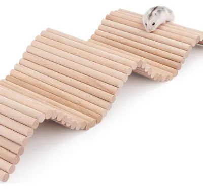 Immagine prodotto di Scala da arrampicata in legno, ponte sospeso per piccoli animali, flessibile, 67 x 20 cm