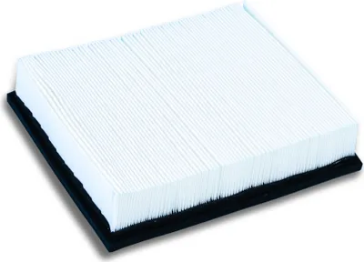 A white pleated air filter with a black rubber seal on a white background.
